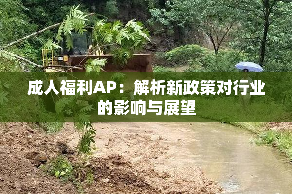 成人福利AP：解析新政策对行业的影响与展望