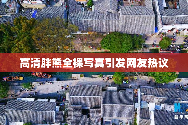 高清胖熊全裸写真引发网友热议