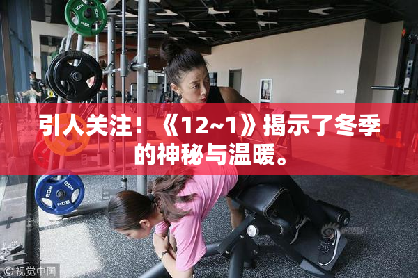 引人关注！《12~1》揭示了冬季的神秘与温暖。