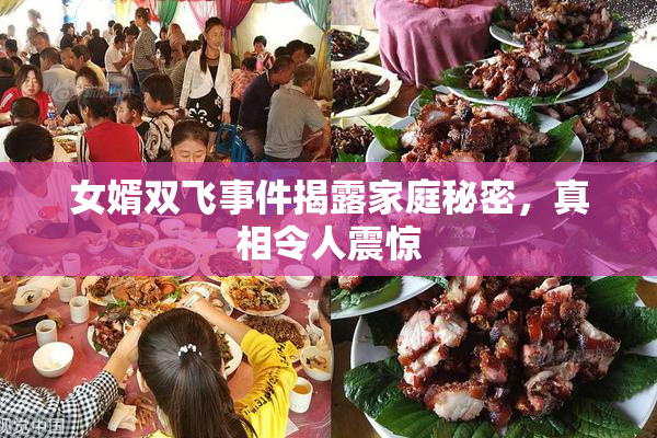 女婿双飞事件揭露家庭秘密，真相令人震惊