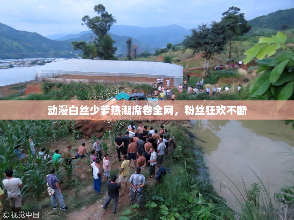 动漫白丝少萝热潮席卷全网，粉丝狂欢不断