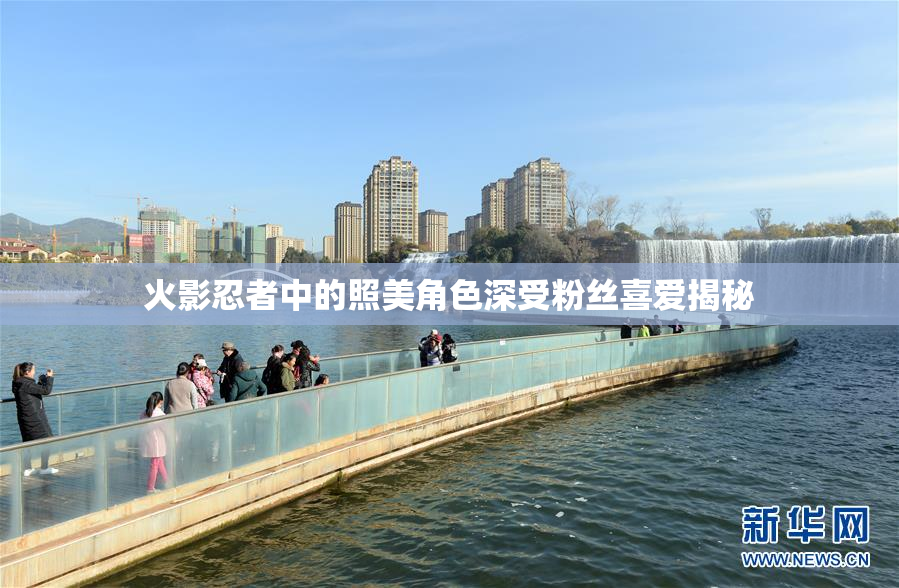 火影忍者中的照美角色深受粉丝喜爱揭秘
