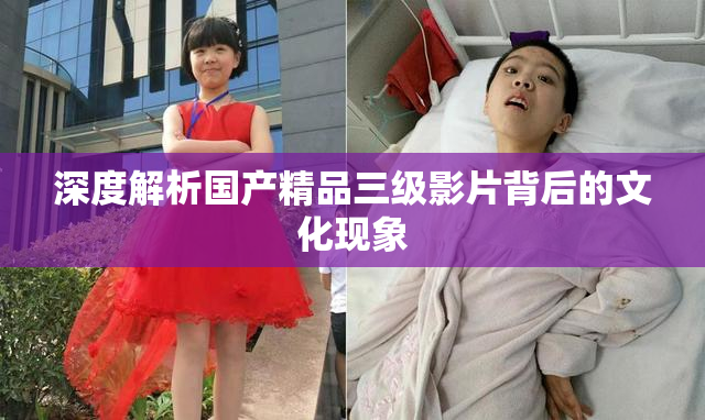 深度解析国产精品三级影片背后的文化现象