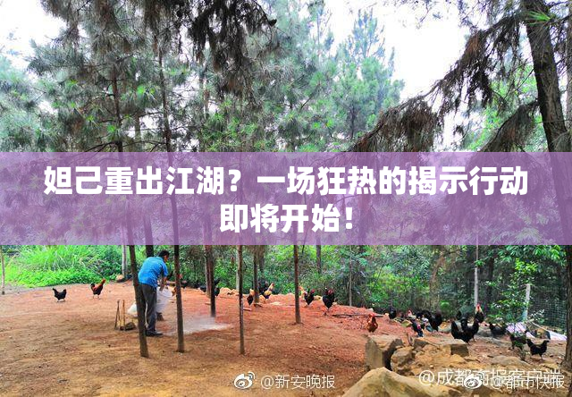 妲己重出江湖？一场狂热的揭示行动即将开始！