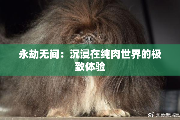 永劫无间：沉浸在纯肉世界的极致体验