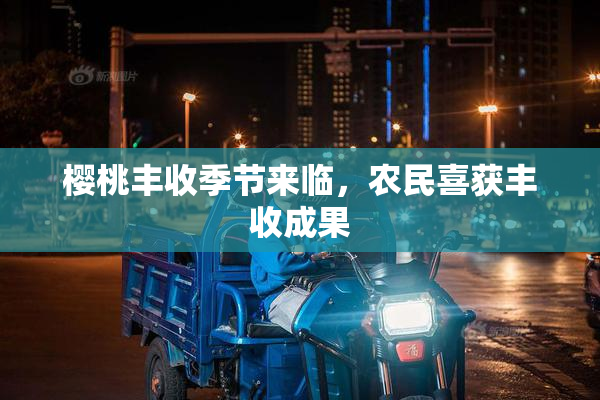 樱桃丰收季节来临，农民喜获丰收成果