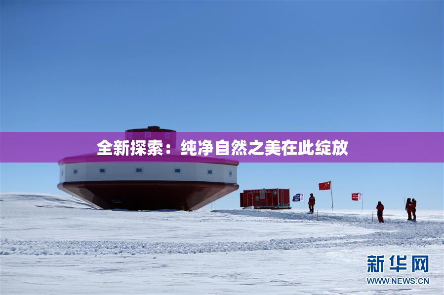 全新探索：纯净自然之美在此绽放