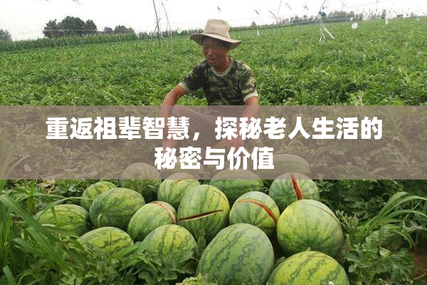 重返祖辈智慧，探秘老人生活的秘密与价值