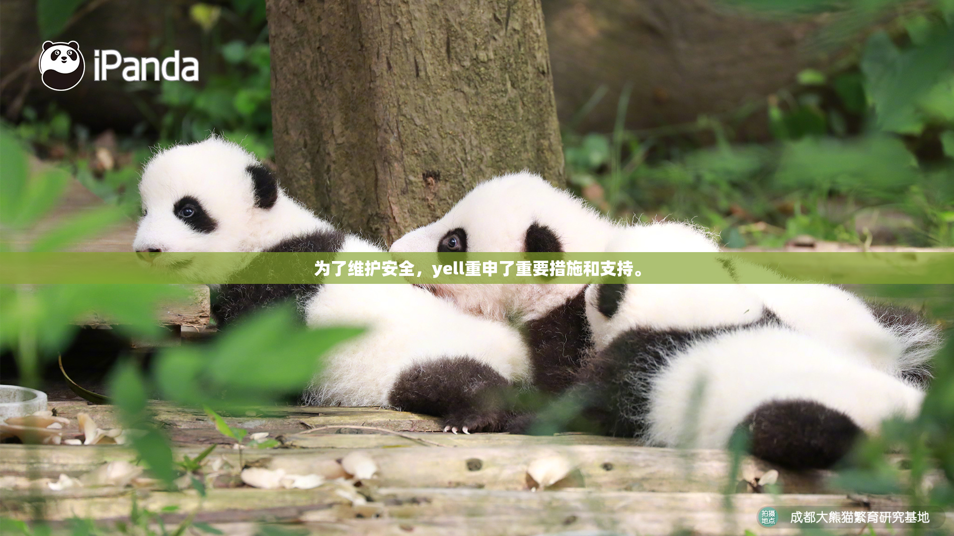 为了维护安全，yell重申了重要措施和支持。