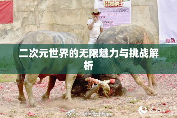 二次元世界的无限魅力与挑战解析