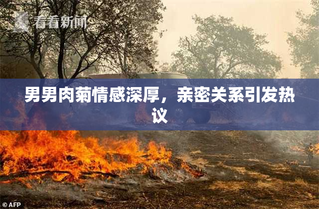 男男肉菊情感深厚，亲密关系引发热议