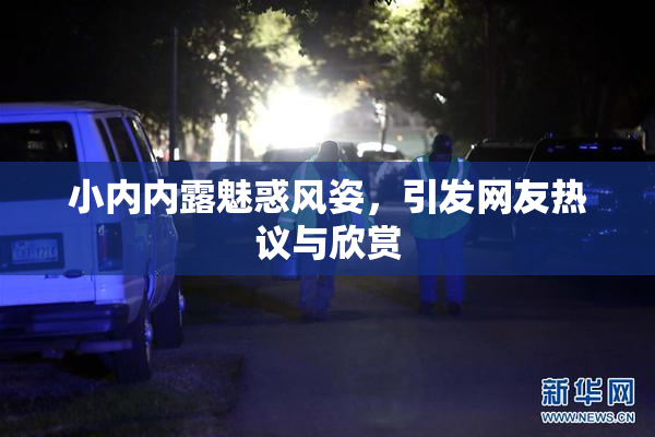 小内内露魅惑风姿，引发网友热议与欣赏