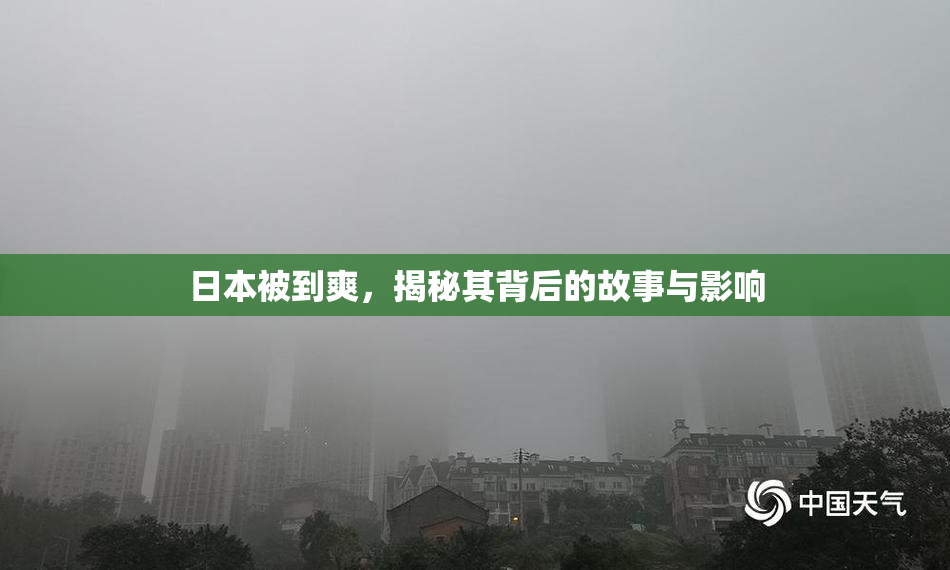日本被到爽，揭秘其背后的故事与影响