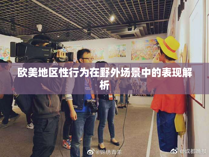 欧美地区性行为在野外场景中的表现解析