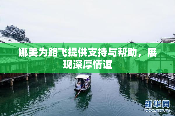 娜美为路飞提供支持与帮助，展现深厚情谊