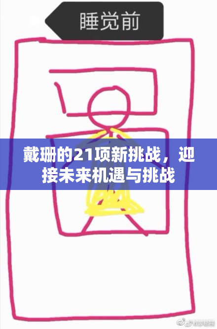 戴珊的21项新挑战，迎接未来机遇与挑战