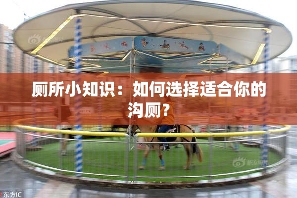 厕所小知识：如何选择适合你的沟厕？