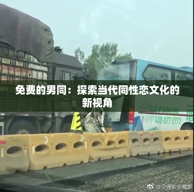 免费的男同：探索当代同性恋文化的新视角