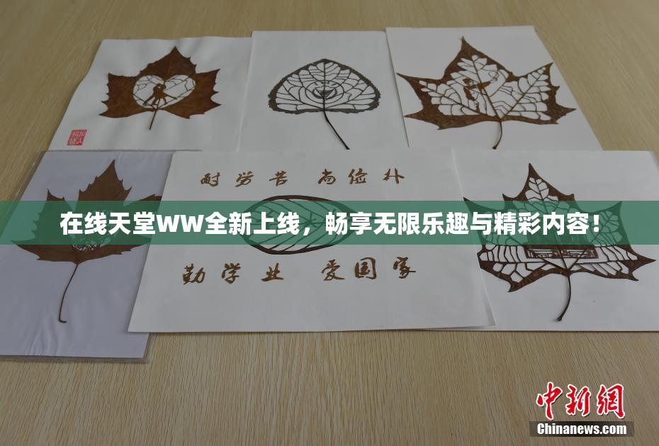 在线天堂WW全新上线，畅享无限乐趣与精彩内容！