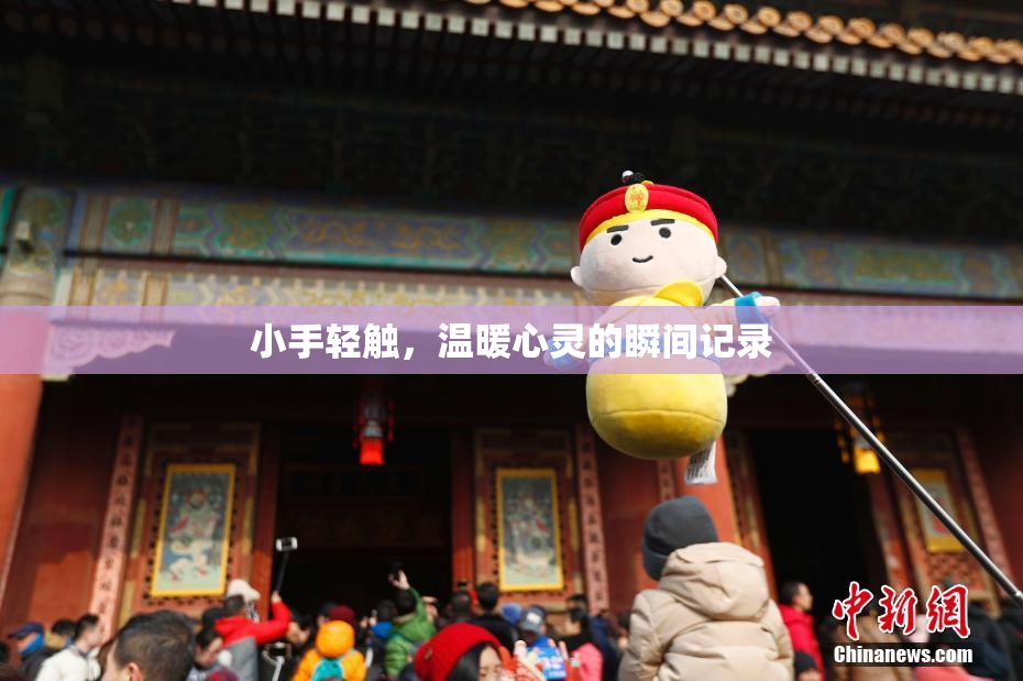 小手轻触，温暖心灵的瞬间记录