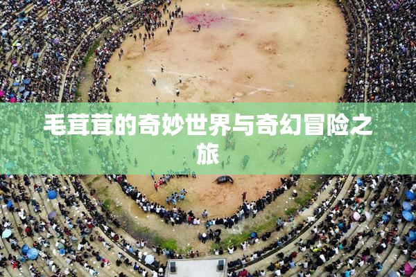 毛茸茸的奇妙世界与奇幻冒险之旅