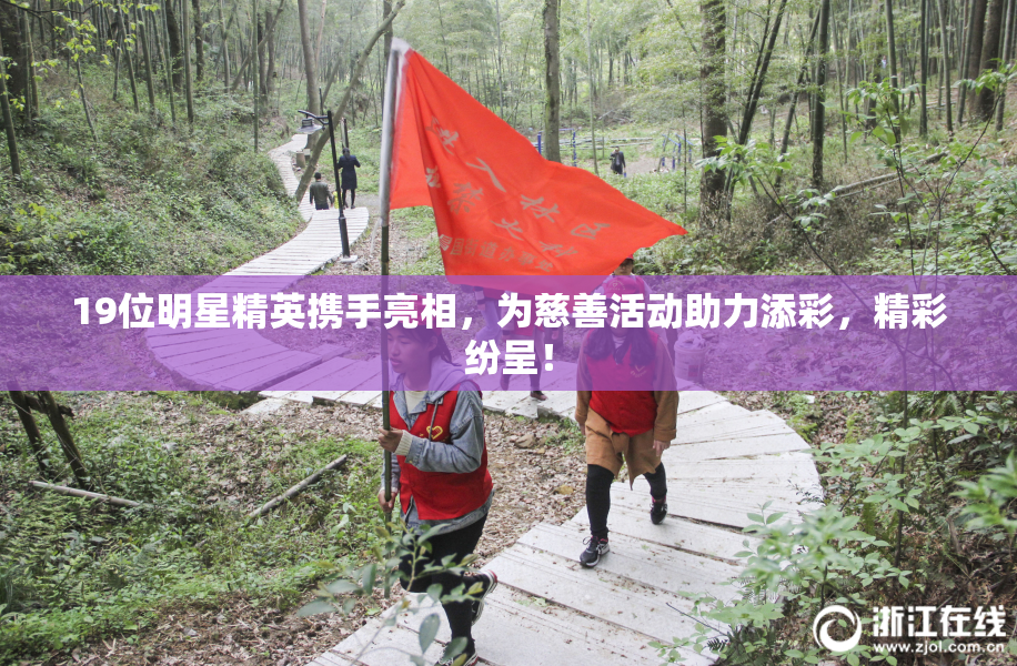 19位明星精英携手亮相，为慈善活动助力添彩，精彩纷呈！