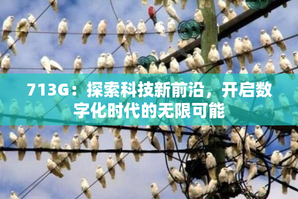713G：探索科技新前沿，开启数字化时代的无限可能