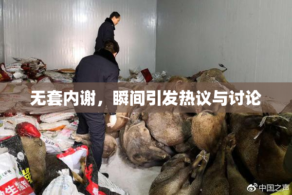 无套内谢，瞬间引发热议与讨论