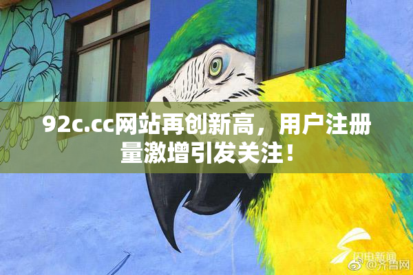 92c.cc网站再创新高，用户注册量激增引发关注！
