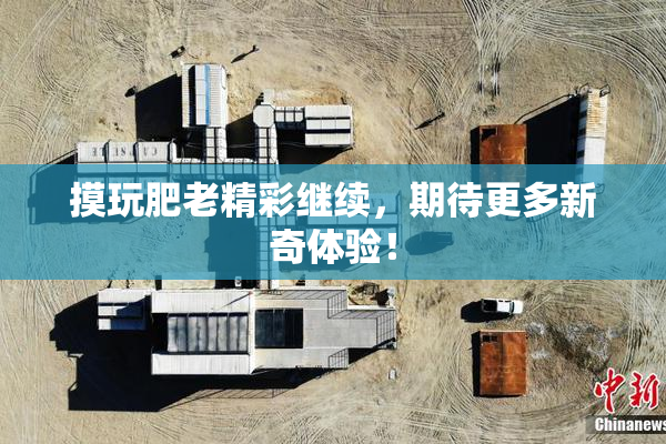 摸玩肥老精彩继续，期待更多新奇体验！