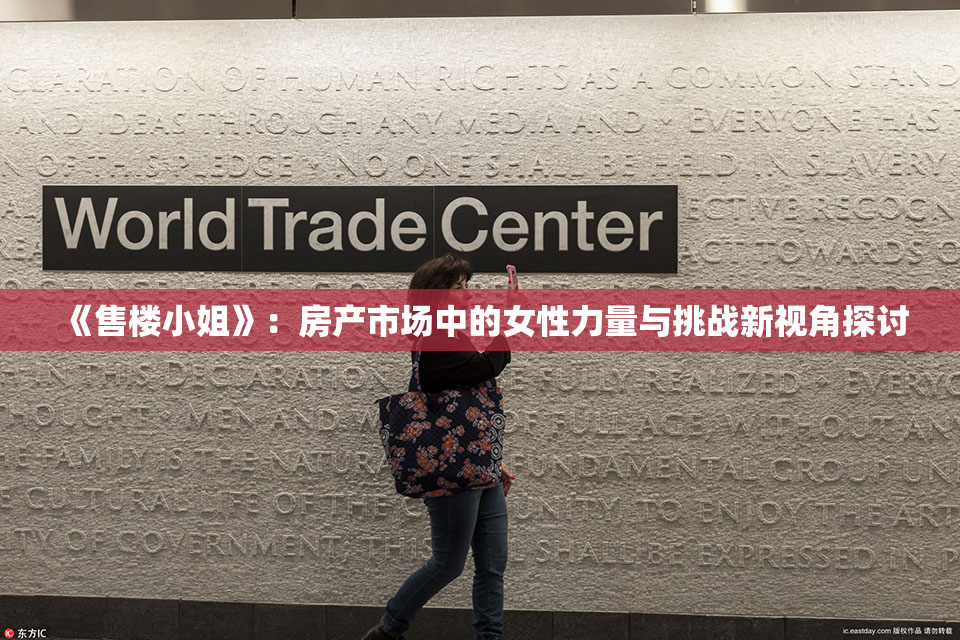 《售楼小姐》：房产市场中的女性力量与挑战新视角探讨