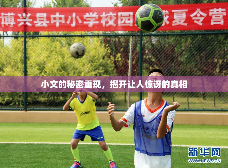 小文的秘密重现，揭开让人惊讶的真相