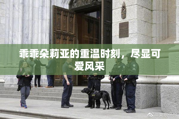 乖乖朵莉亚的重温时刻，尽显可爱风采