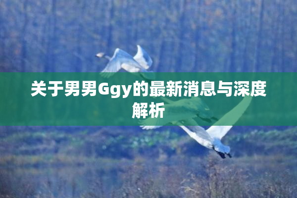 关于男男Ggy的最新消息与深度解析