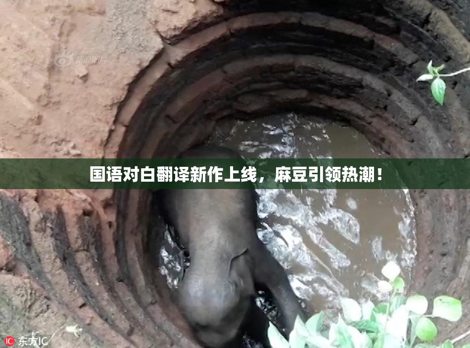 国语对白翻译新作上线，麻豆引领热潮！