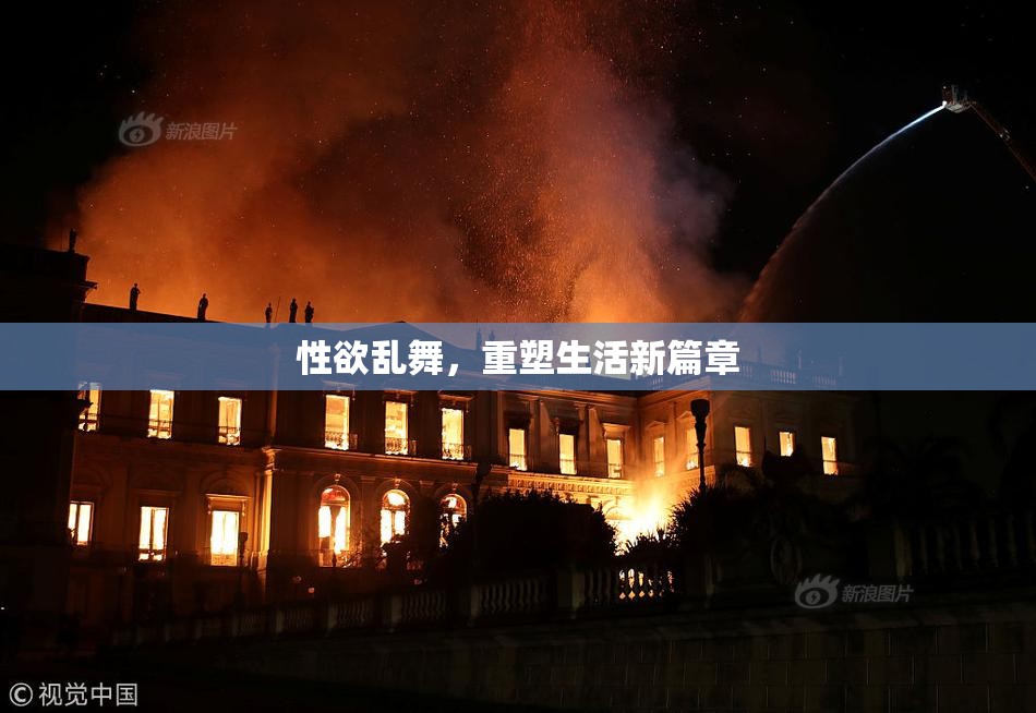 性欲乱舞，重塑生活新篇章