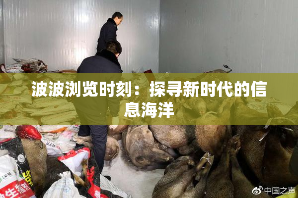 波波浏览时刻：探寻新时代的信息海洋