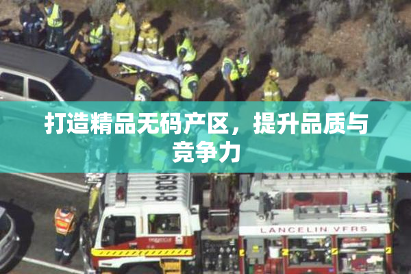 打造精品无码产区，提升品质与竞争力