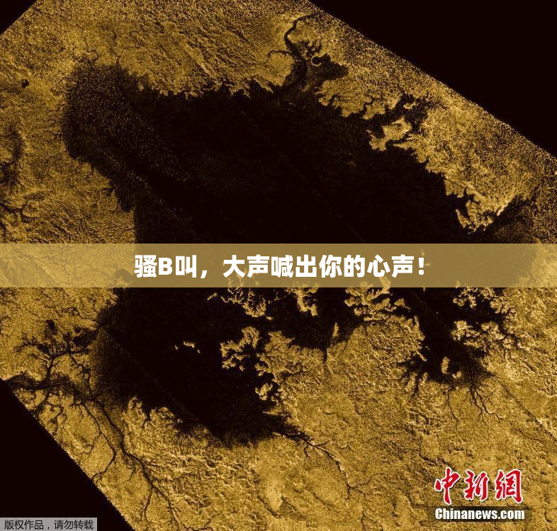 骚B叫，大声喊出你的心声！