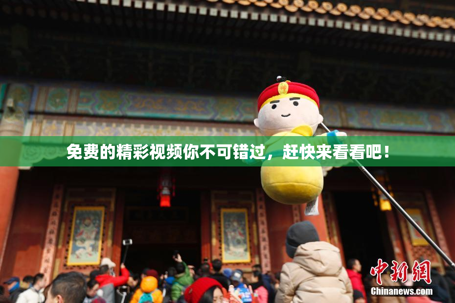 免费的精彩视频你不可错过，赶快来看看吧！