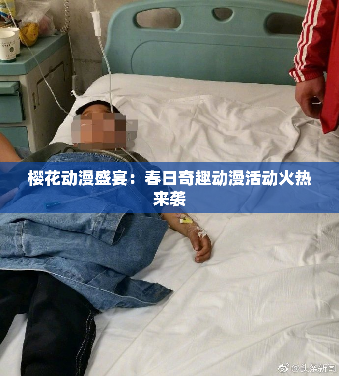 樱花动漫盛宴：春日奇趣动漫活动火热来袭