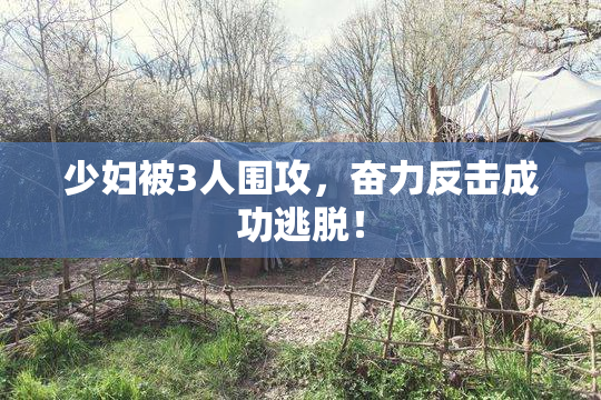 少妇被3人围攻，奋力反击成功逃脱！