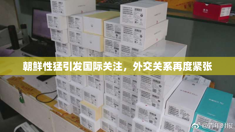 朝鲜性猛引发国际关注，外交关系再度紧张