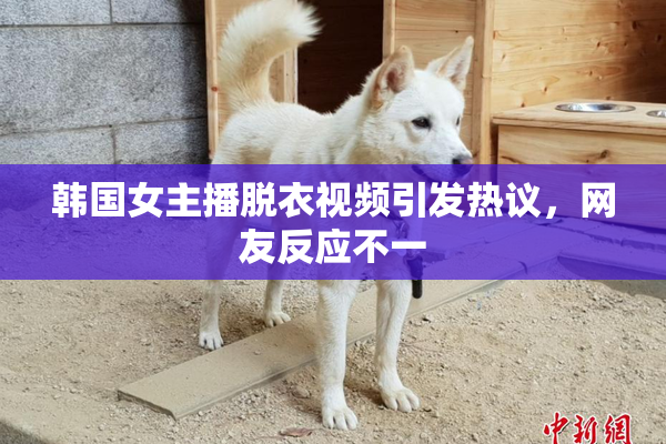 韩国女主播脱衣视频引发热议，网友反应不一