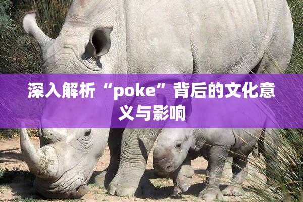 深入解析“poke”背后的文化意义与影响