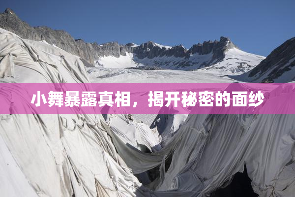 小舞暴露真相，揭开秘密的面纱