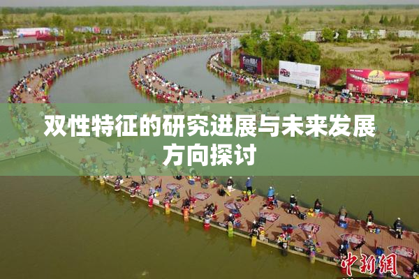 双性特征的研究进展与未来发展方向探讨