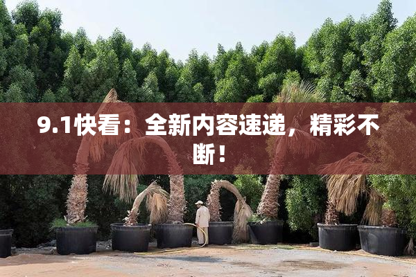 9.1快看：全新内容速递，精彩不断！