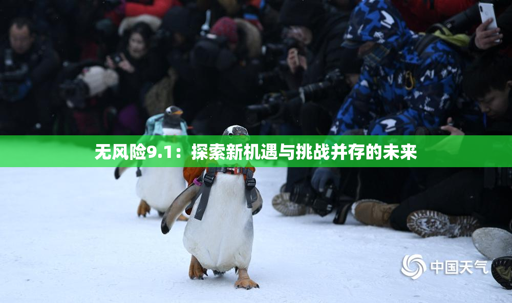无风险9.1：探索新机遇与挑战并存的未来