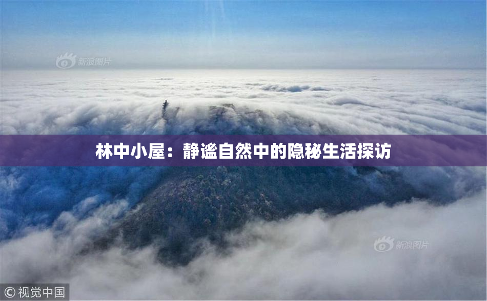 林中小屋：静谧自然中的隐秘生活探访